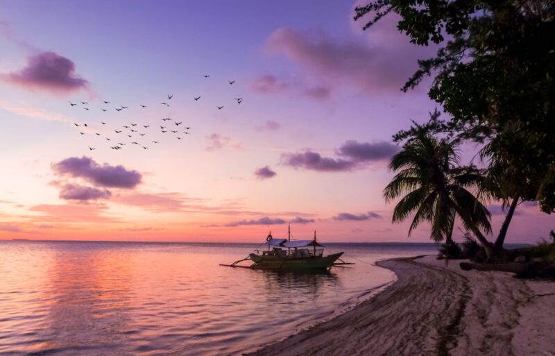 homepage-15