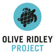 Olive Ridley Project Logo: Turtle Drawing Inside Blue Circle, Advocating for Turtle Conservation