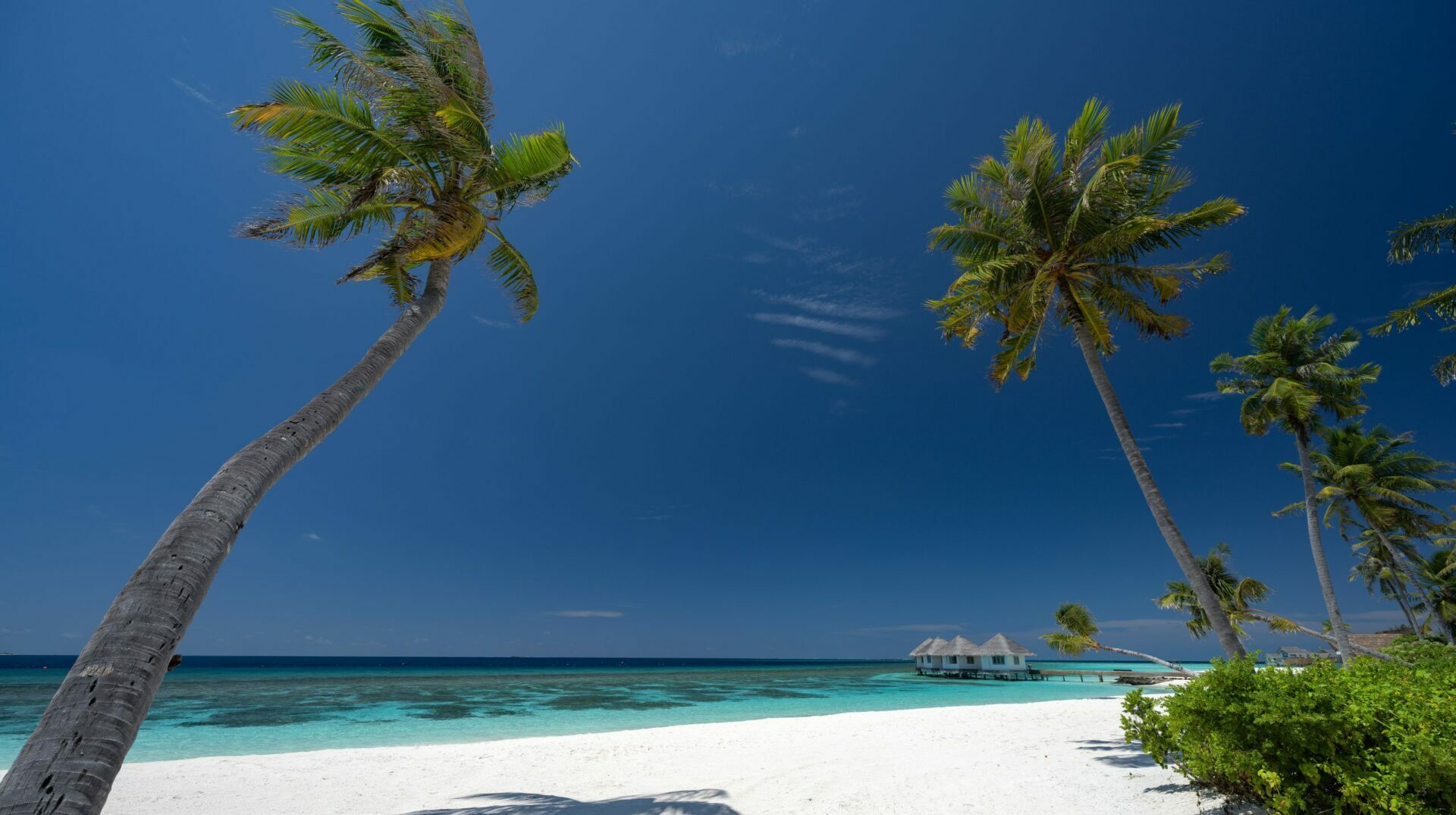 Tropical Paradise: Tall Coconut Trees Swaying in the Wind, Ocean Beach View, and Floating Cottages