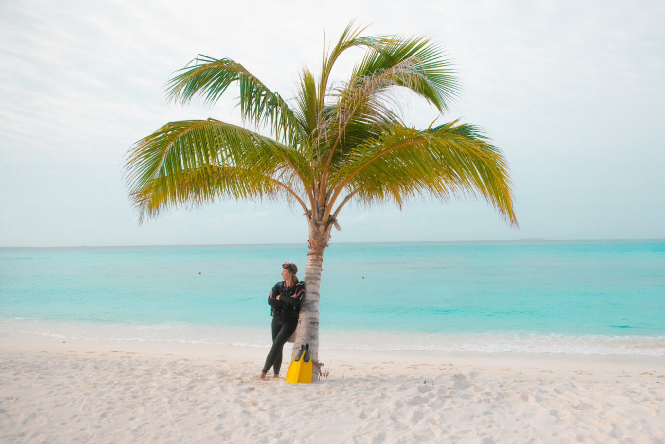 Diving in the Maldives