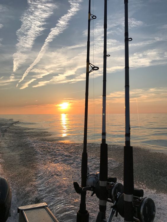 Serene Fishing Experience: Fishing Rods Silhouetted against a Sunset by the Ocean