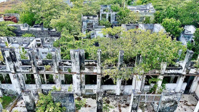 Aerial View of Abandoned Tsunami Ghost Island, Enveloped by Dense Surrounding Trees